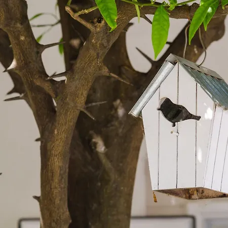 & Bari I - With Balcony And Garden View Second Floor -apt 13 Apartament