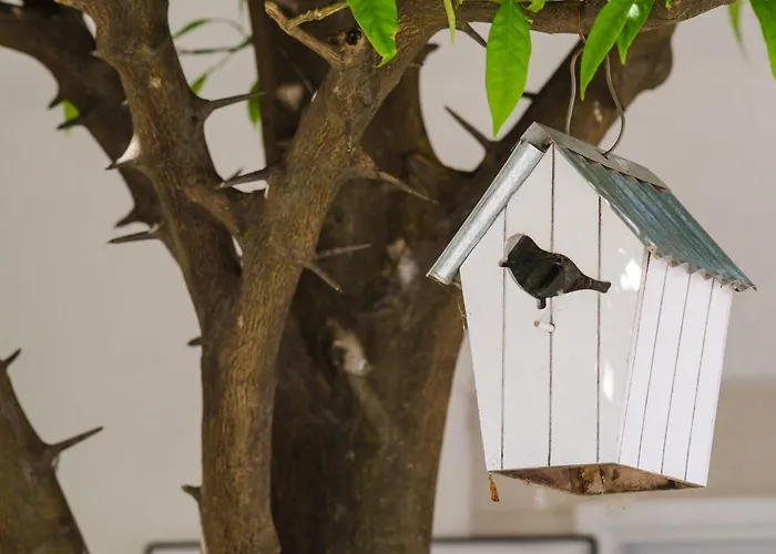 & Bari I - With Balcony And Garden View Second Floor -apt 13 아파트